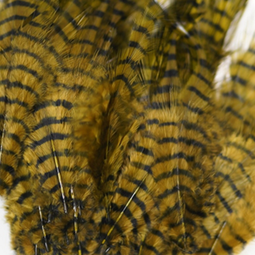 MFC Barred Saddle Hackle