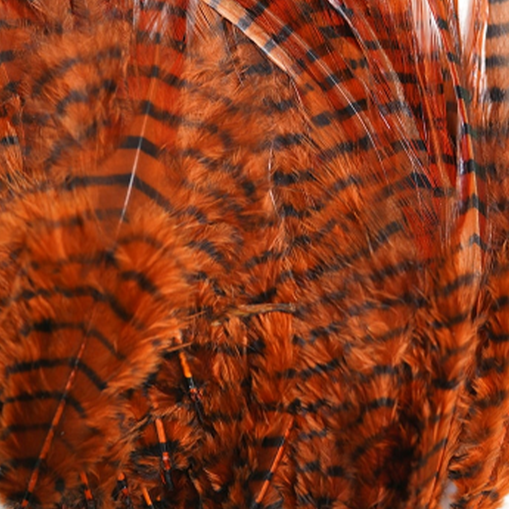 MFC Barred Saddle Hackle