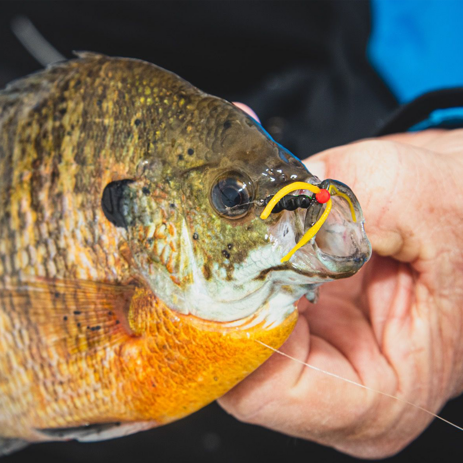 Clam Silkie Jig Trailer