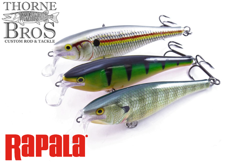 Rapala Super Shad Rap (10528637837)