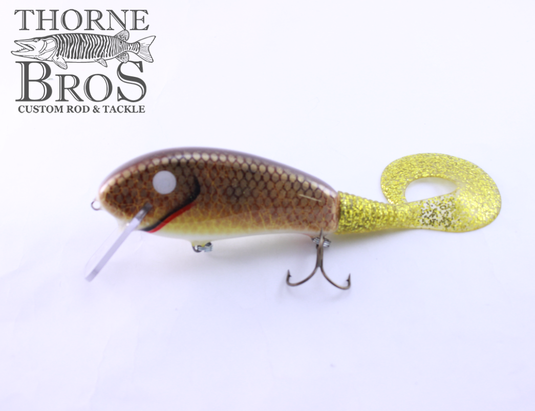 Smoker Squirrley SS (9899036365)