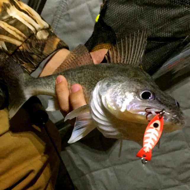 JB Lures Ghost Spoon
