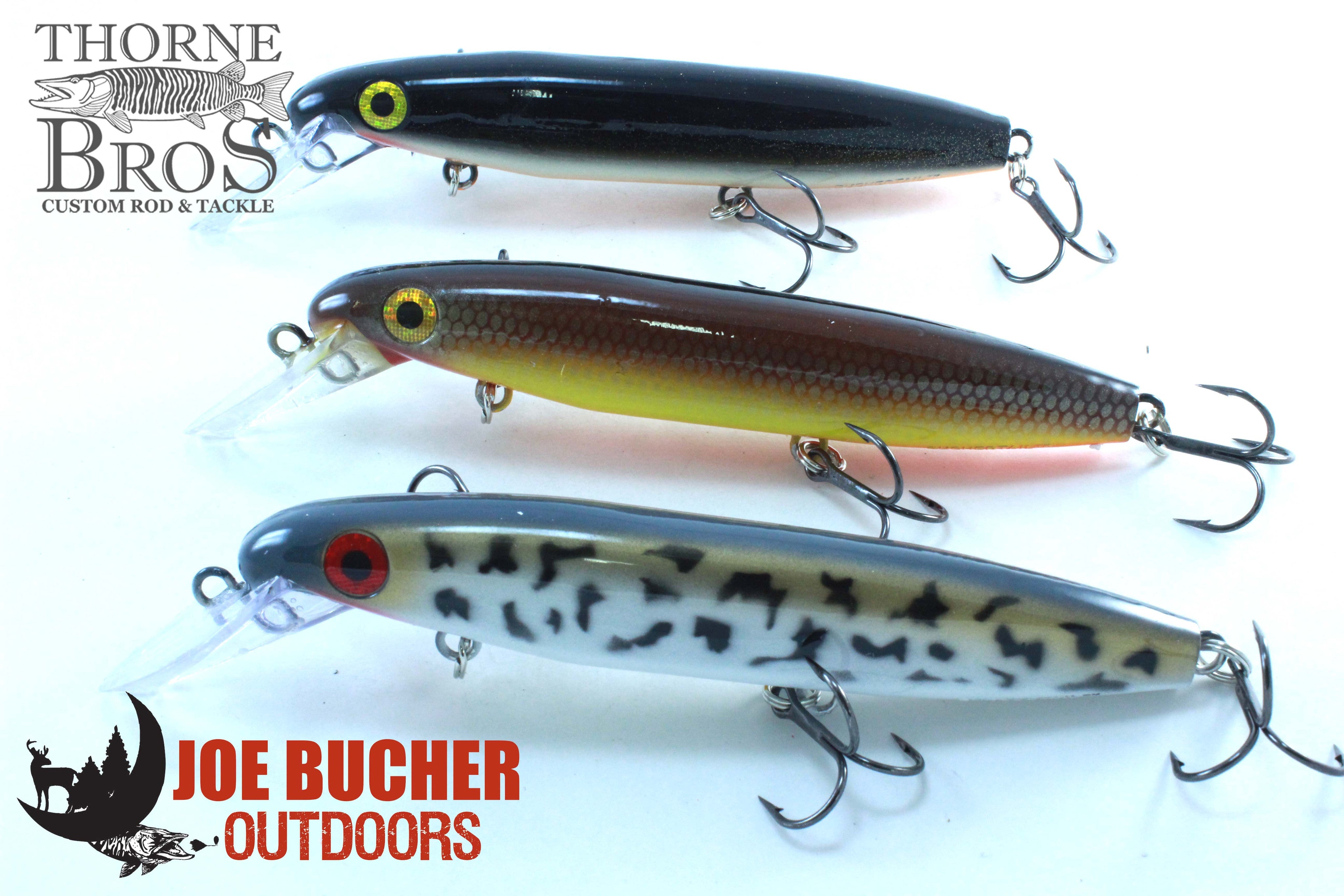 Bucher Suspending Raider (10312796237)