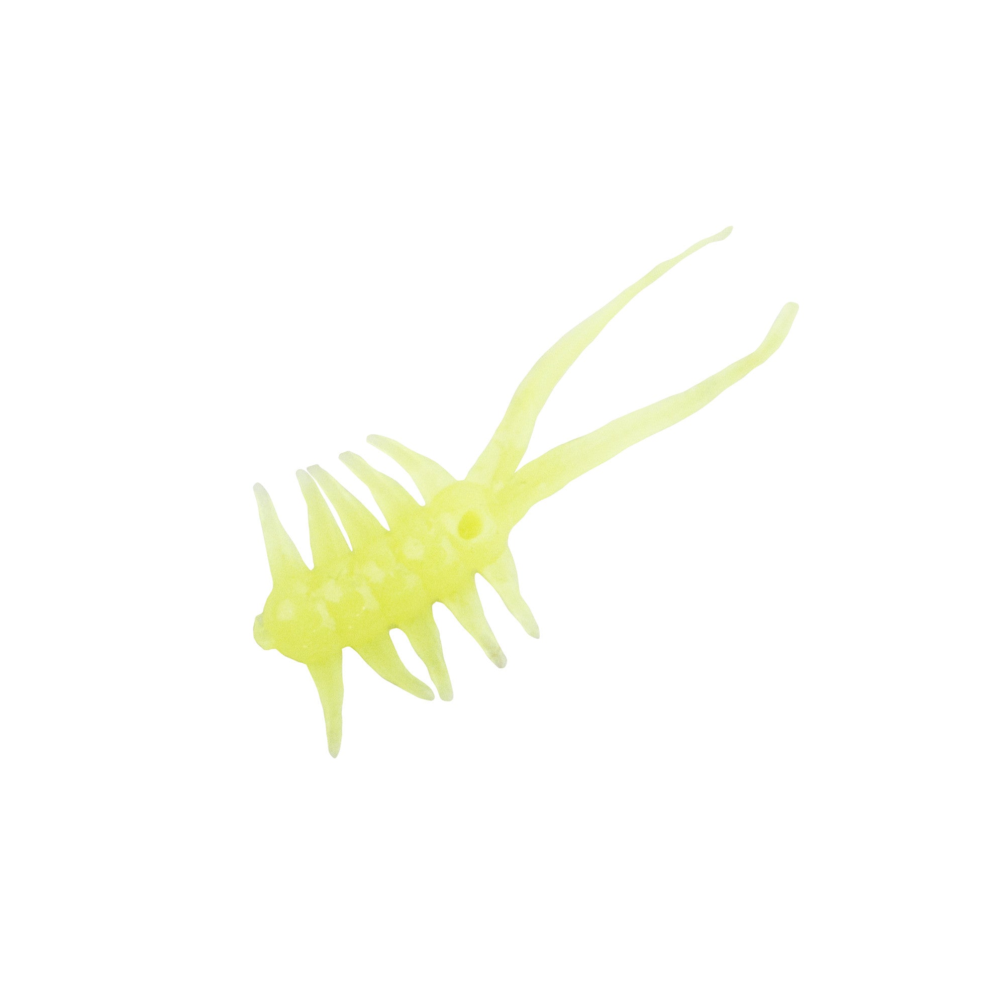 Clam Jamei XL (7345050241)