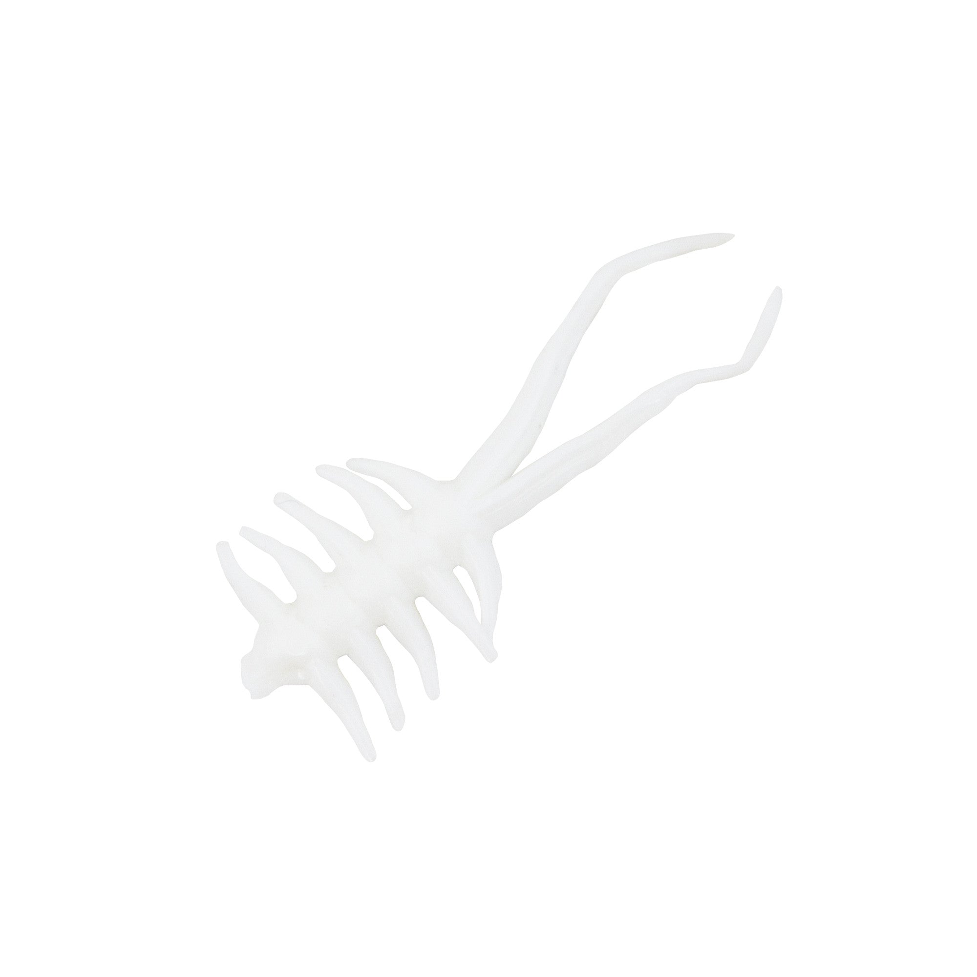 Clam Jamei XL (7345050241)