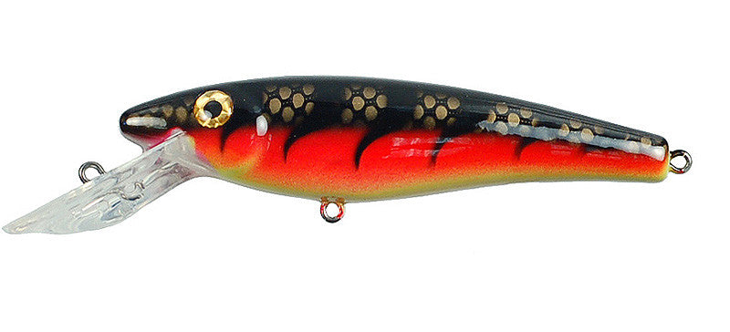 Musky Mania Lil' Ernie (7059538817)