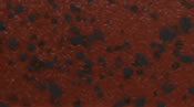 Skirts Plus Natures Edge (10 Pack)