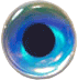 WTP 3D Molded Eyes