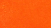 Skirts Plus Standard Glitter (10 Pack)