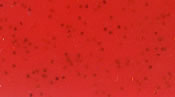 Skirts Plus Standard Glitter (10 Pack)