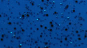 Skirts Plus Standard Glitter (10 Pack)