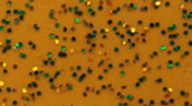 Skirts Plus Standard Glitter (10 Pack)