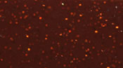 Skirts Plus Standard Glitter (10 Pack)