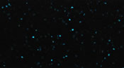 Skirts Plus Standard Glitter (10 Pack)