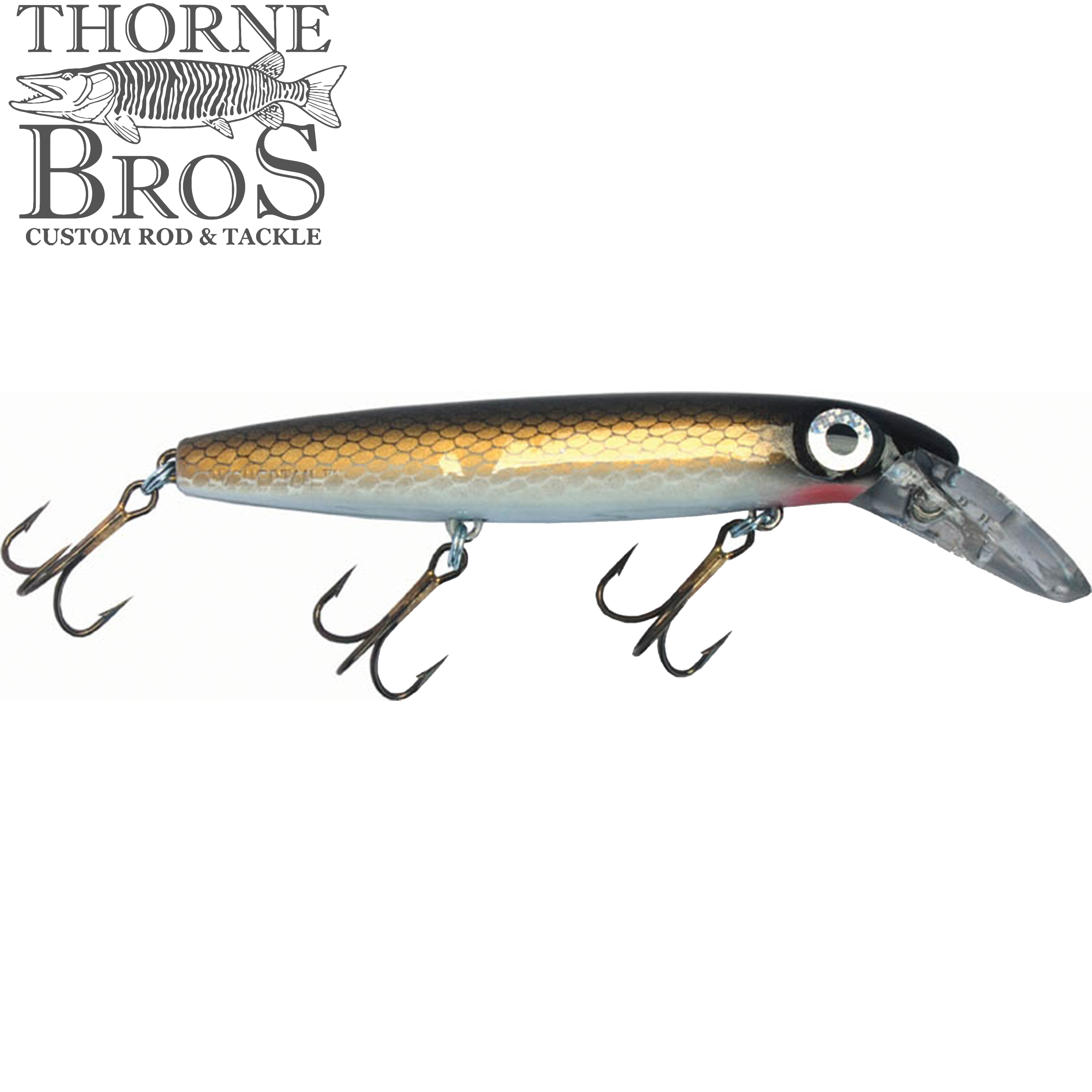 Bucher Depth Raider 8" (10312794509)