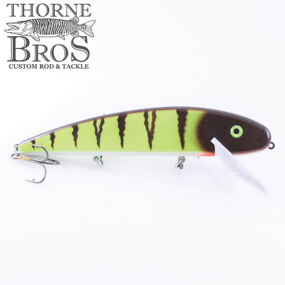 Musky Mania Jake 8" (7051874561)