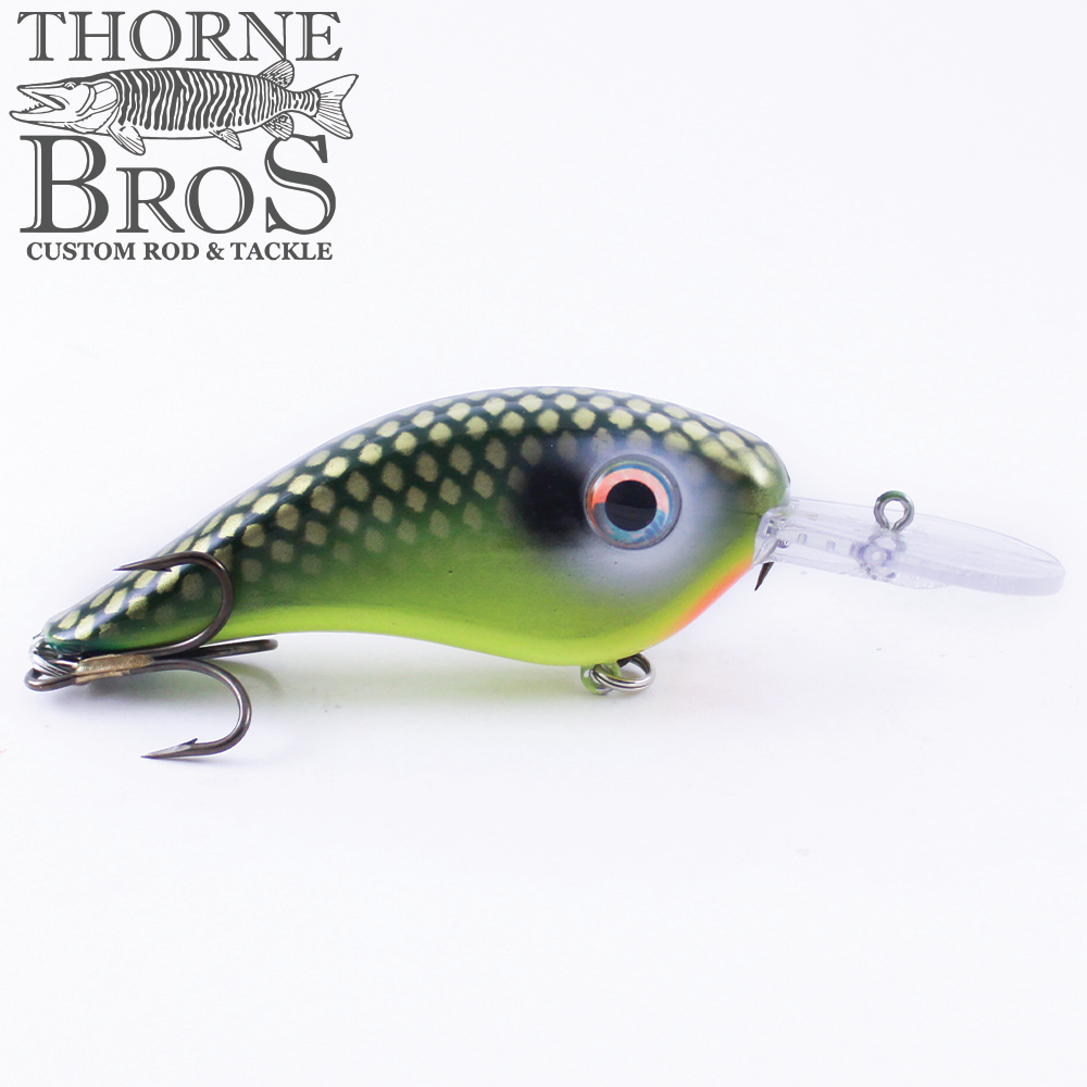 Llungen Chad Shad (10373055885)