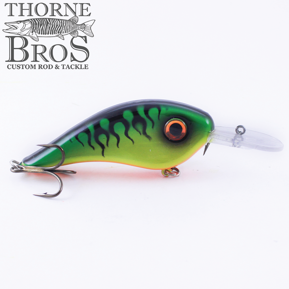 Llungen Chad Shad (10373055885)