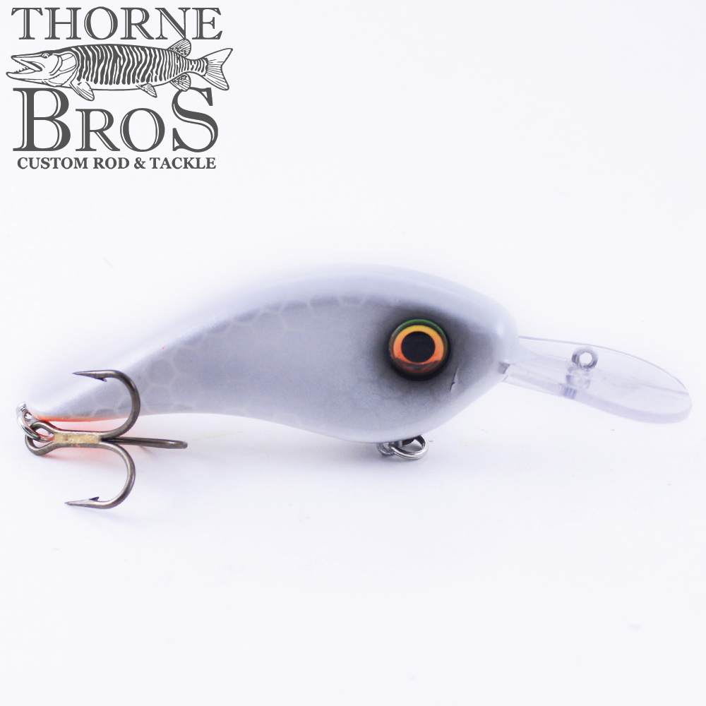 Llungen Chad Shad (10373055885)