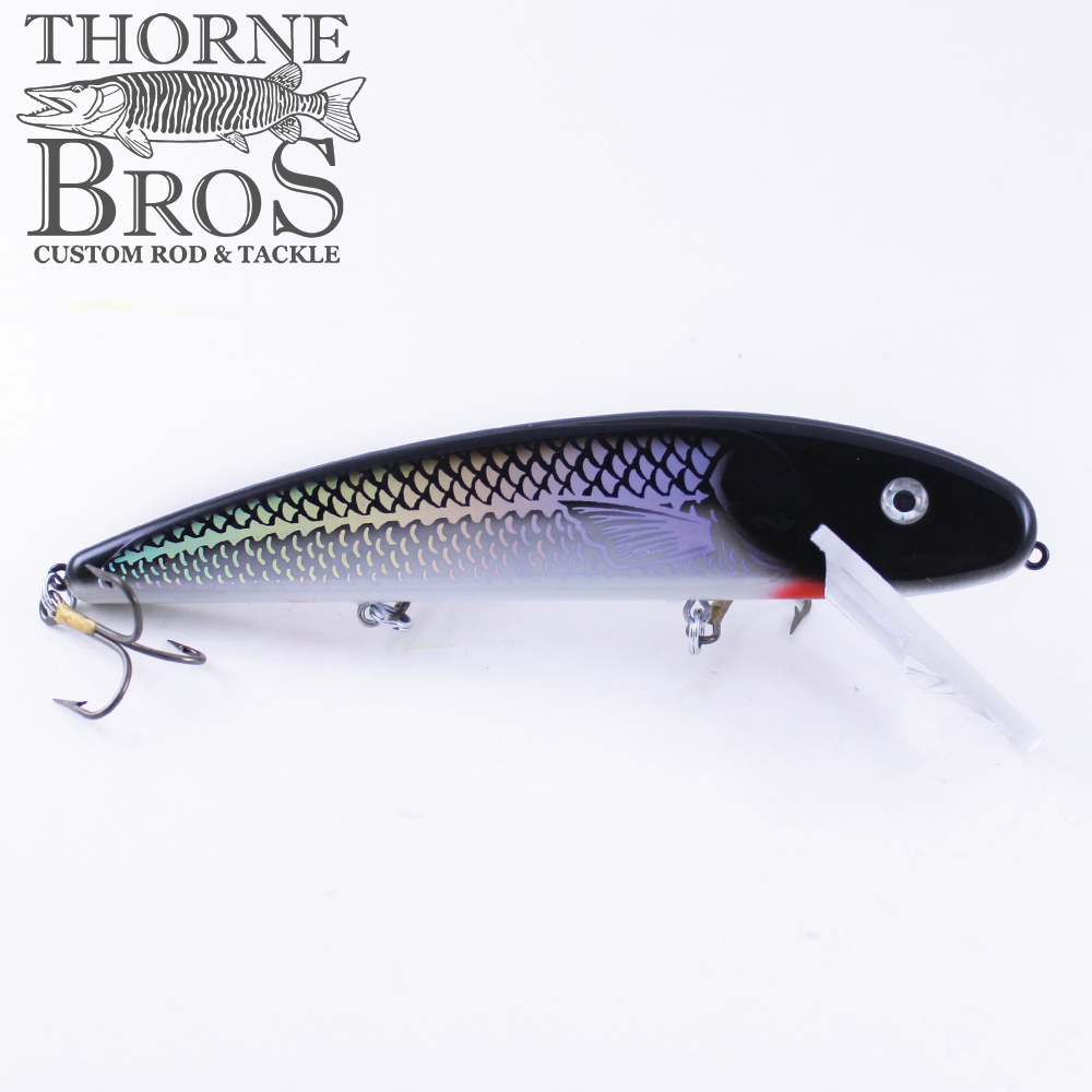 Musky Mania Jake 8" (7051874561)