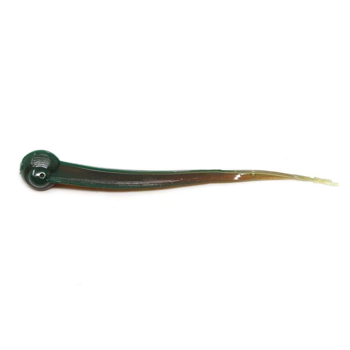 Clam Polli XL