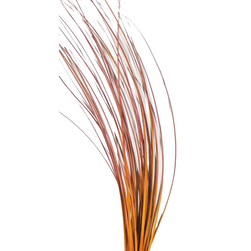 Hareline Quill Body