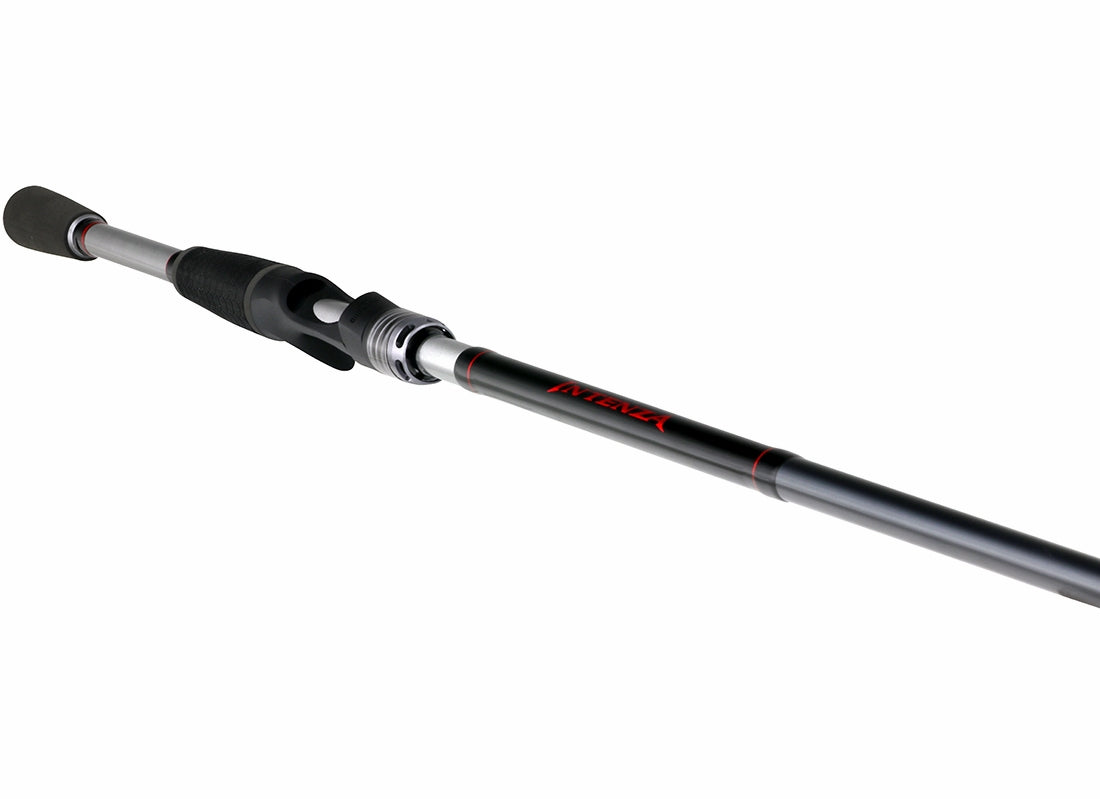 Shimano Intenza - Casting (OLD)
