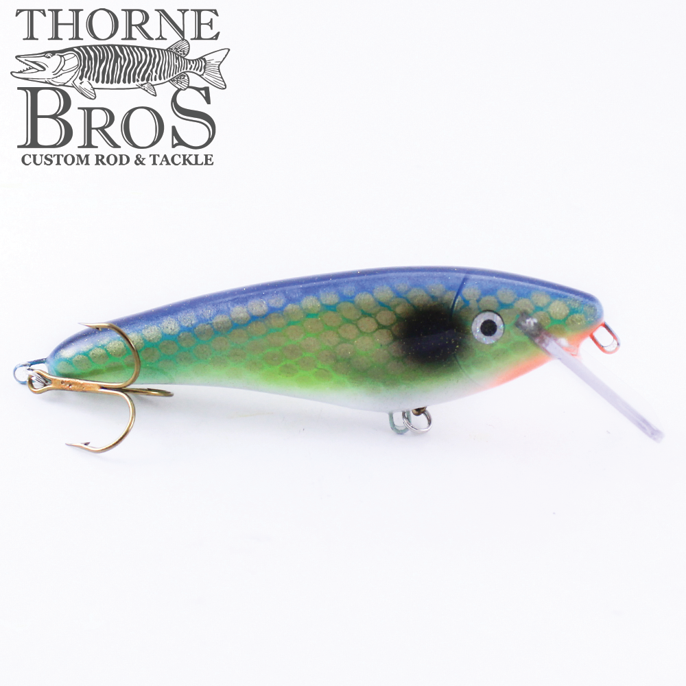 Slammer 5" Shad (7035167169)