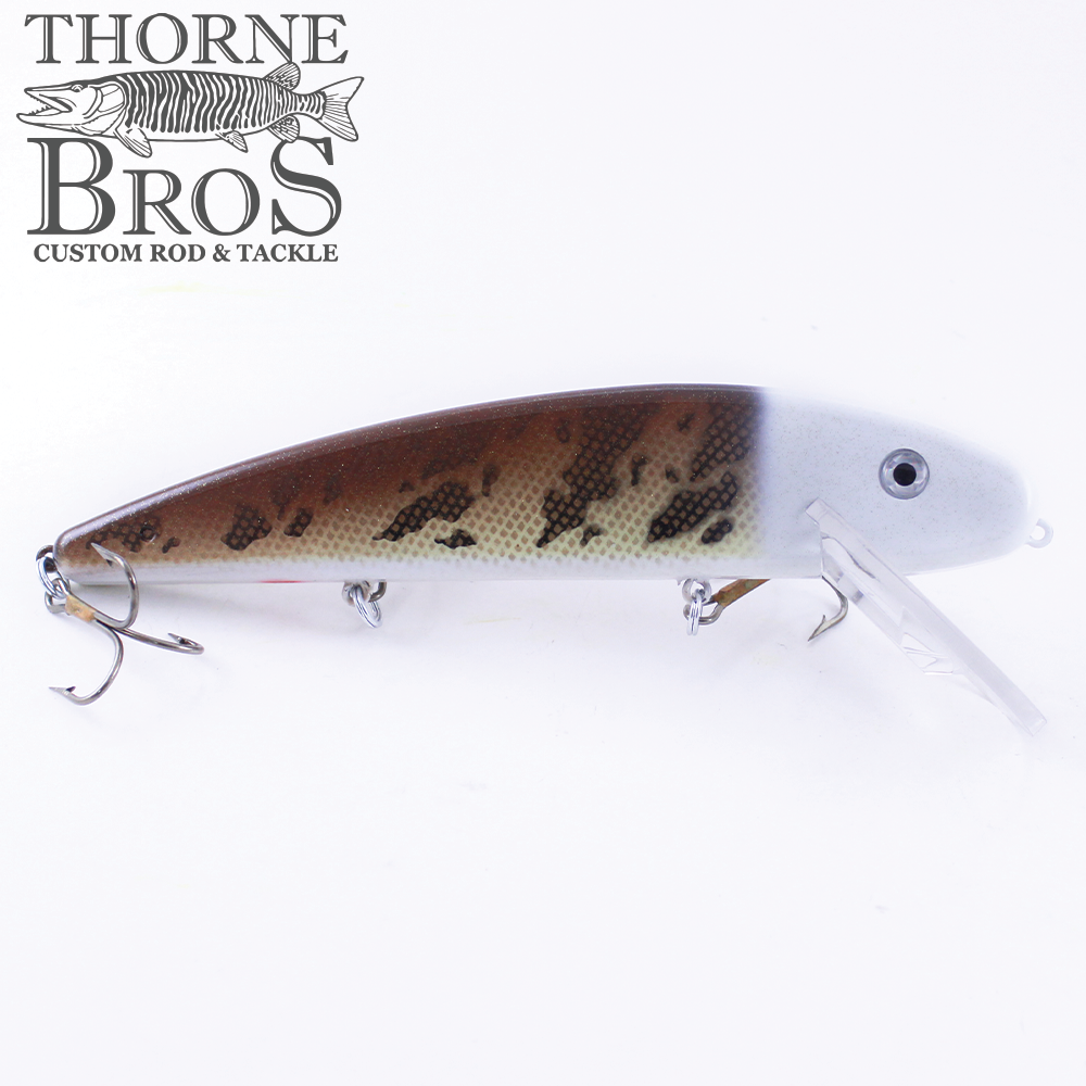 Musky Mania Jake 8" (7051874561)