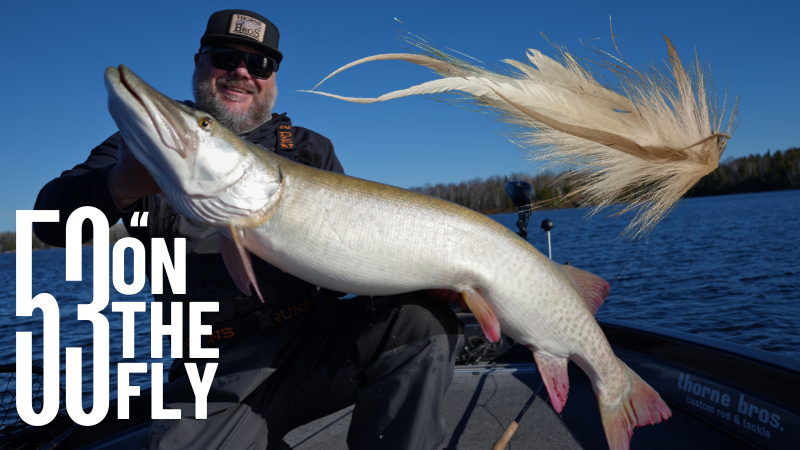 53" Lake Vermillion Musky While Fly Fishing!