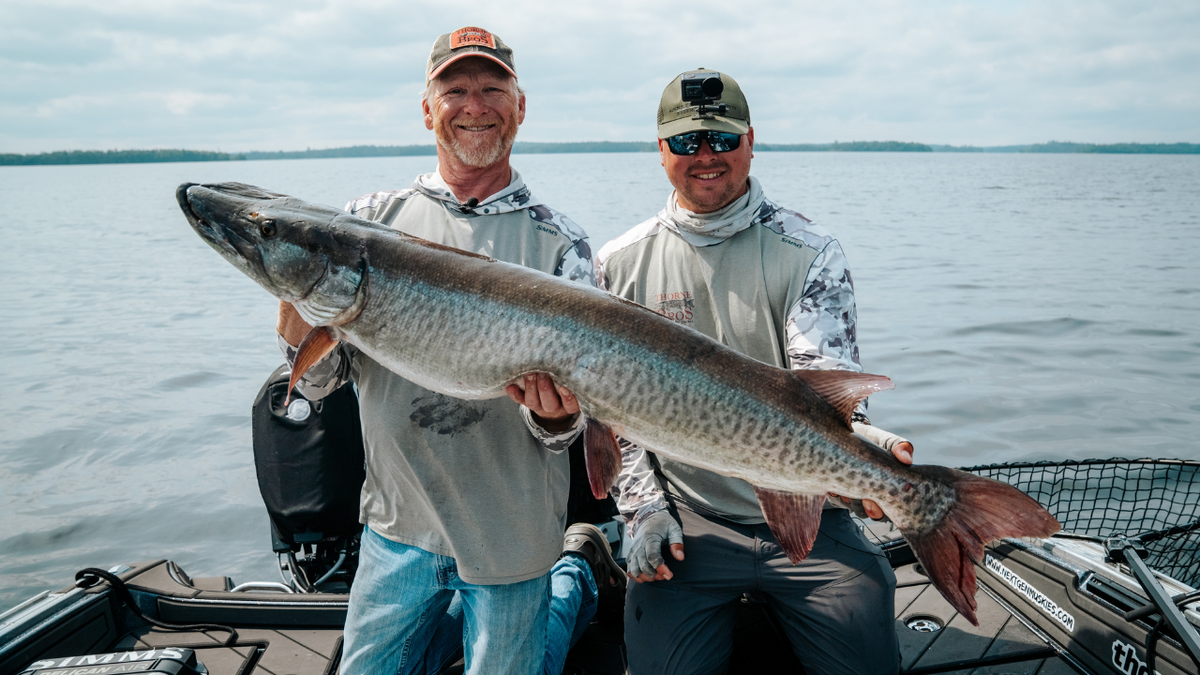 Lake of the Woods Musky Fishing: Landing a 50" Monster with Doug Wegner