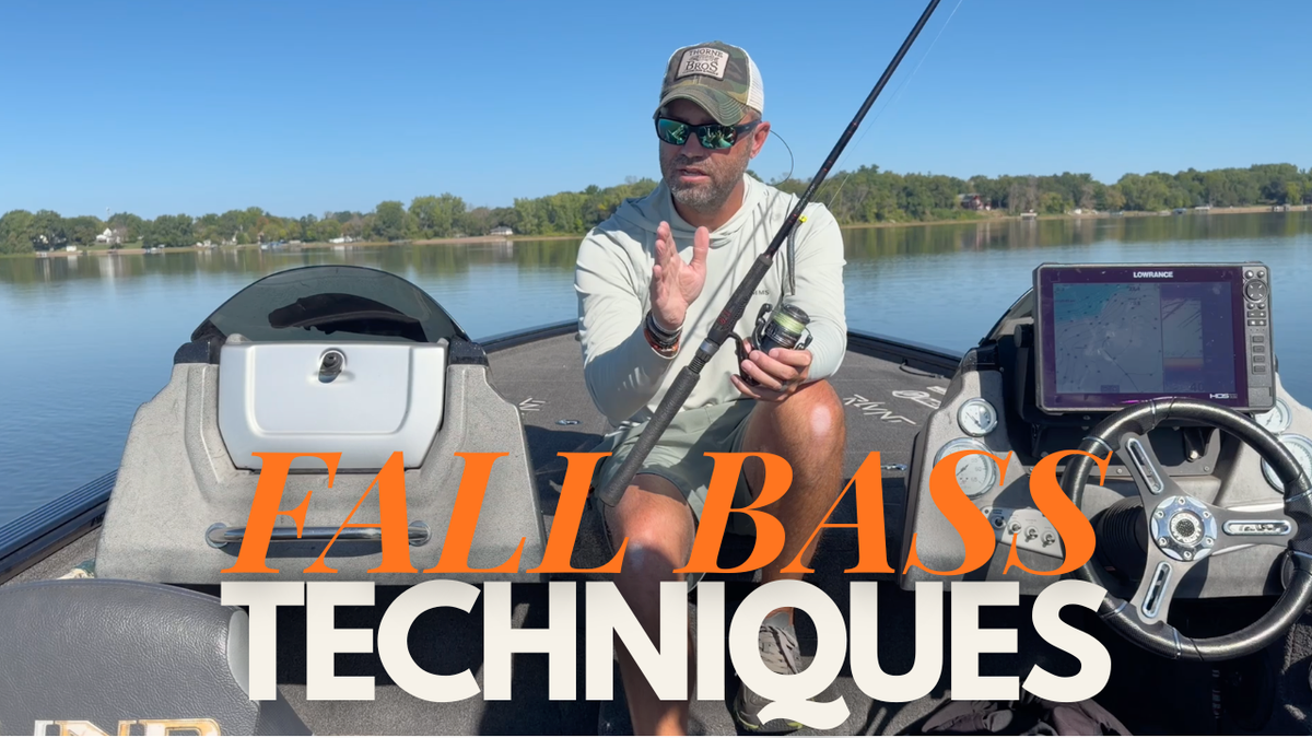Fall Bass Fishing Techniques