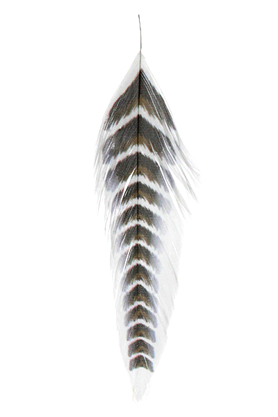 MFC Galloup's Fish Feathers-Grizzled