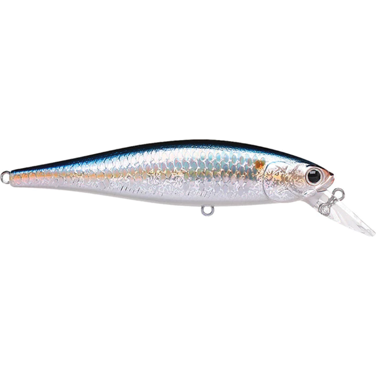 Lucky Craft Pointer 100SP Jerkbait
