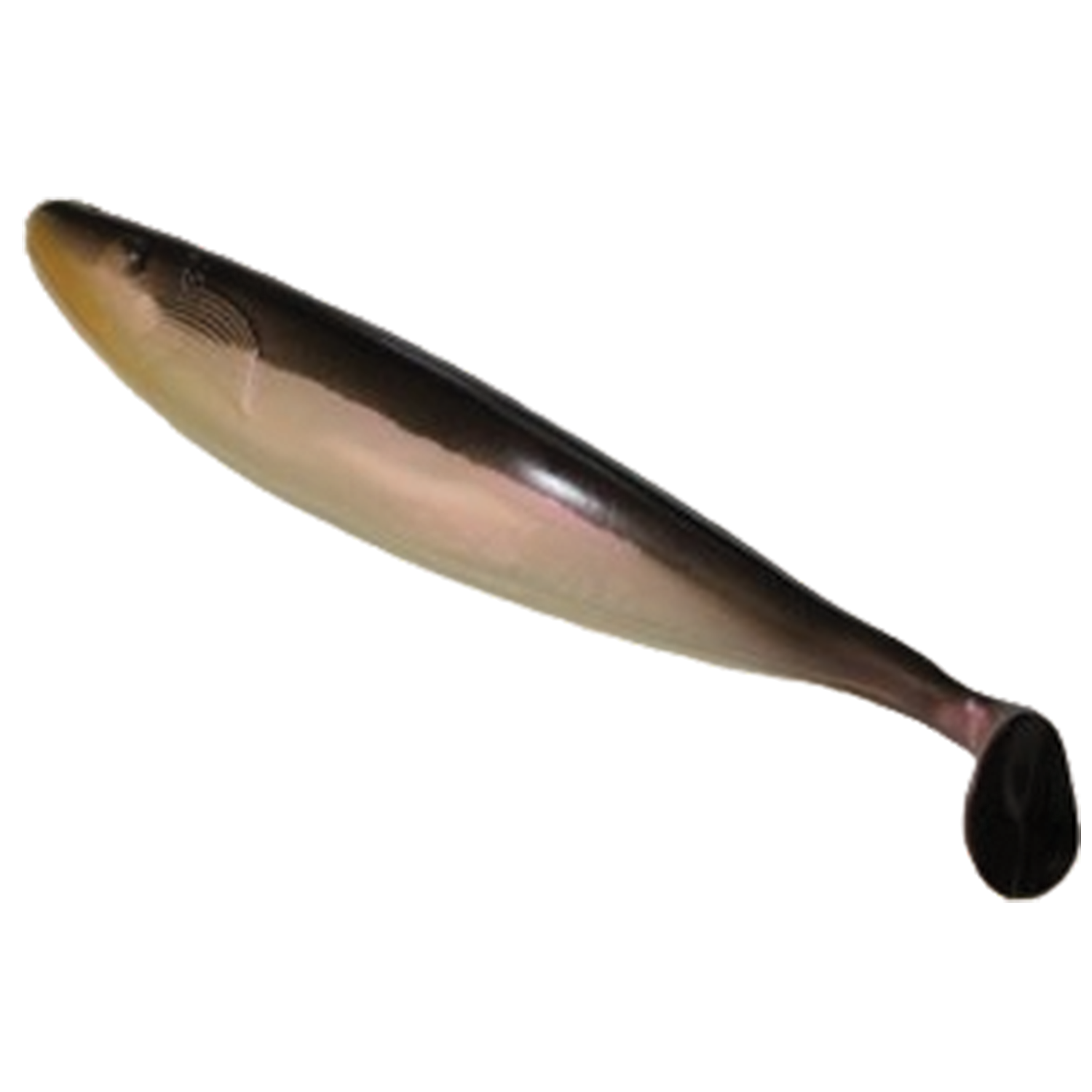 Action Plastics 12" Shad (3 Pack)