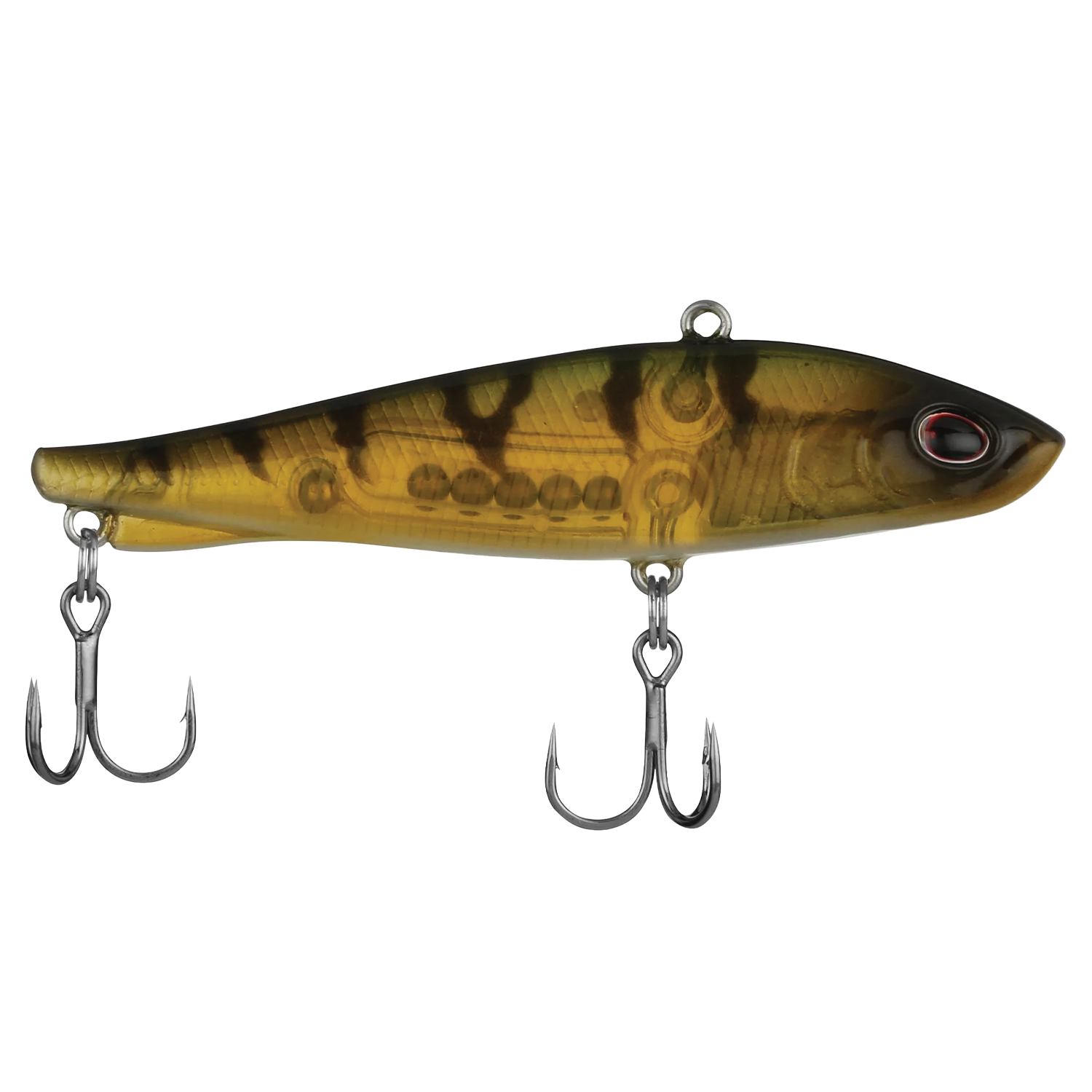 Berkley Ripfish