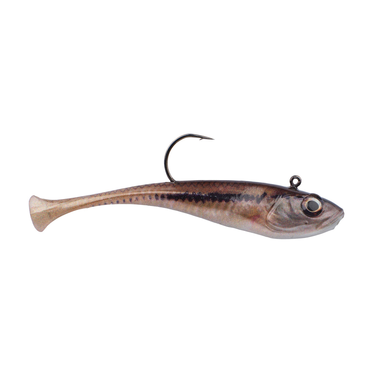 Berkley PowerBait Buzz'n Speed Toad  Natural Sports – Natural Sports - The  Fishing Store