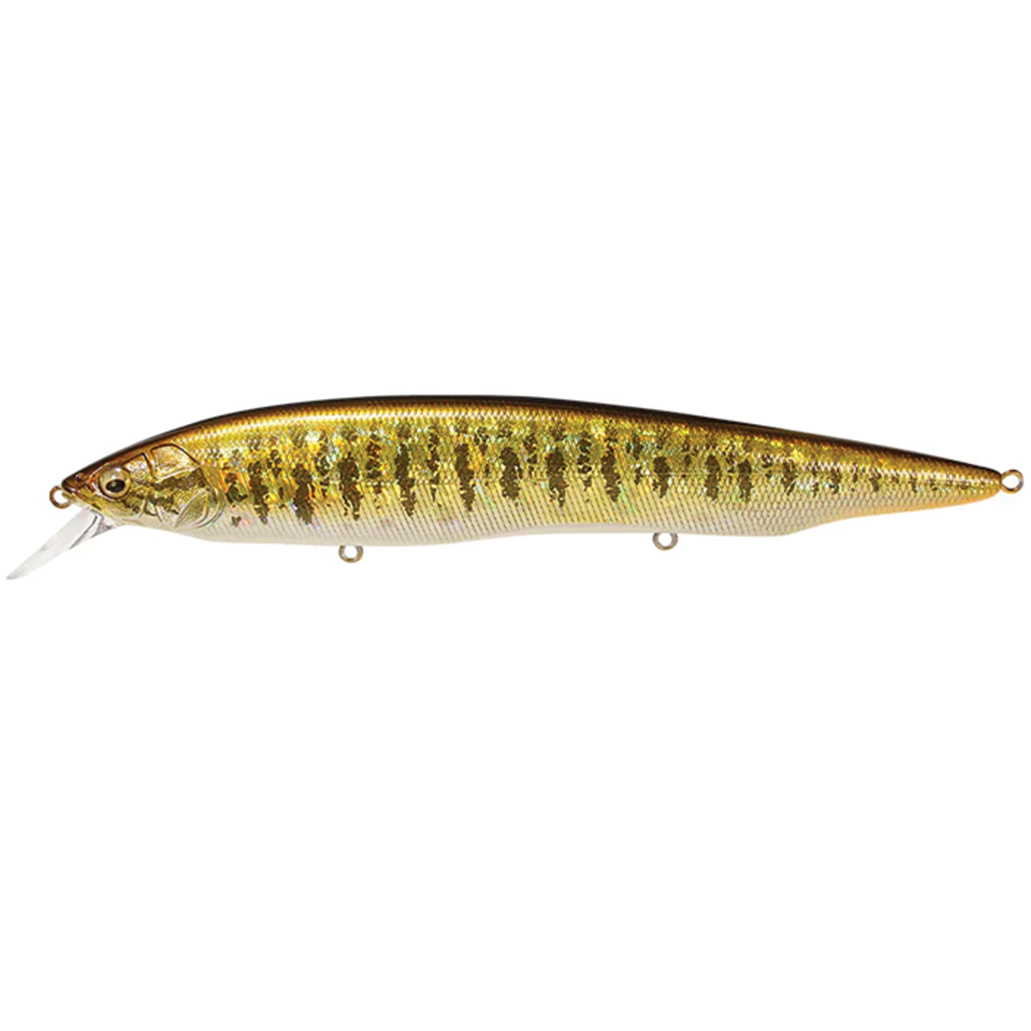 Megabass Kanata
