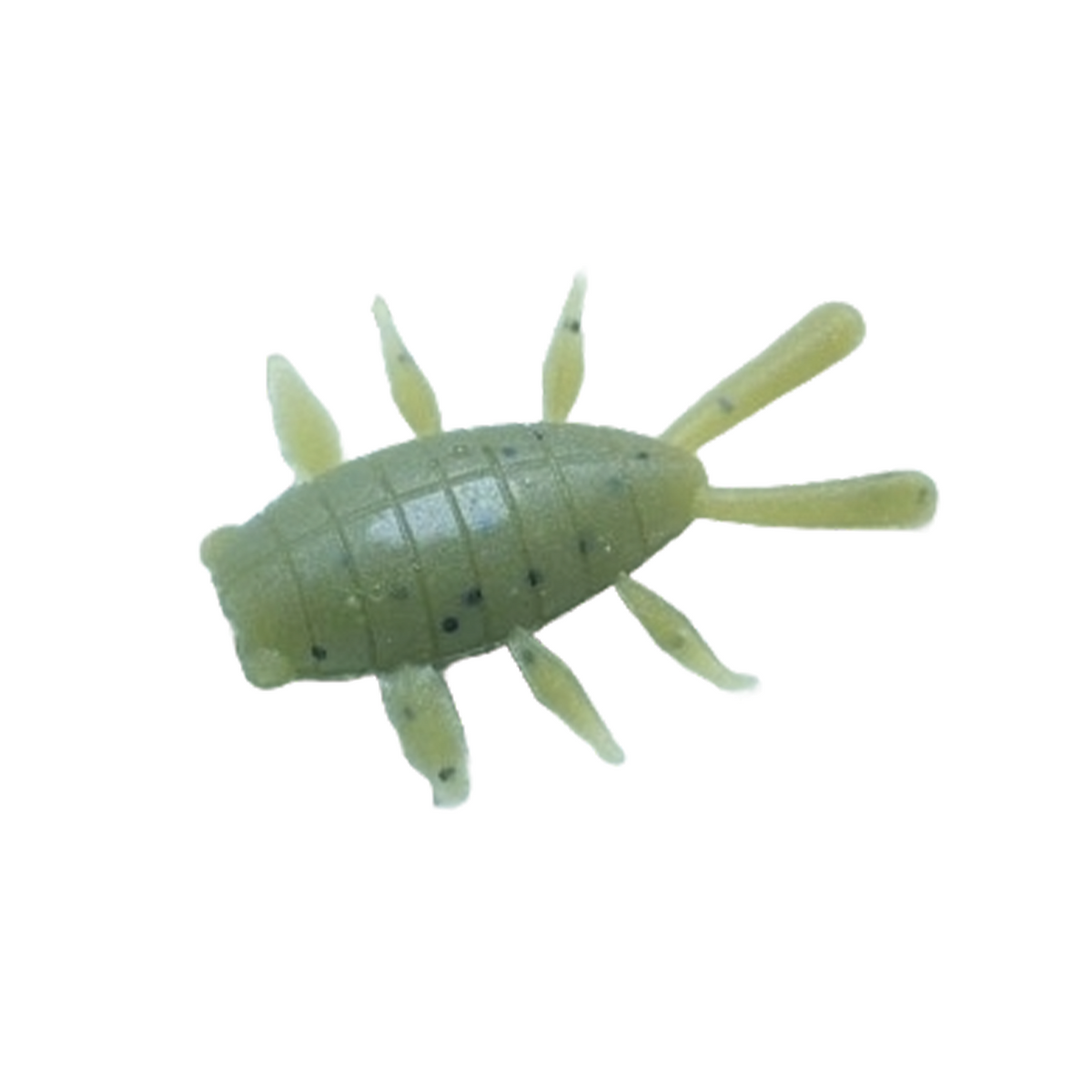 YG.Labo Witch Bug (Sinking)