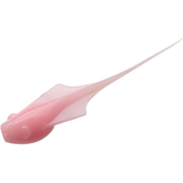 13 Fishing Madpole (6pk)