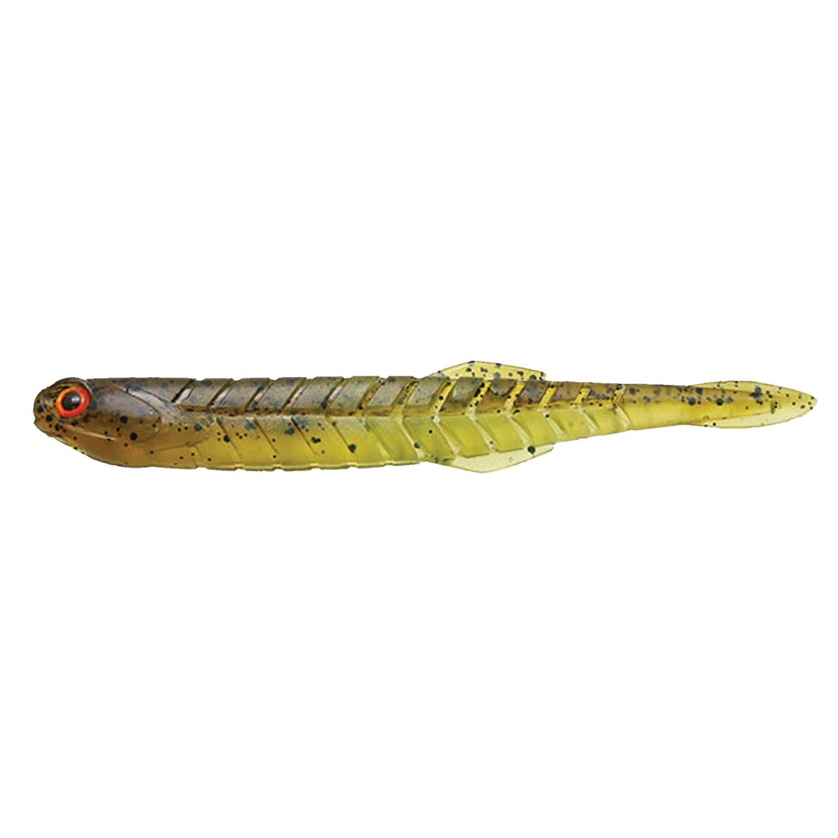 Issei Katakuchi Worm