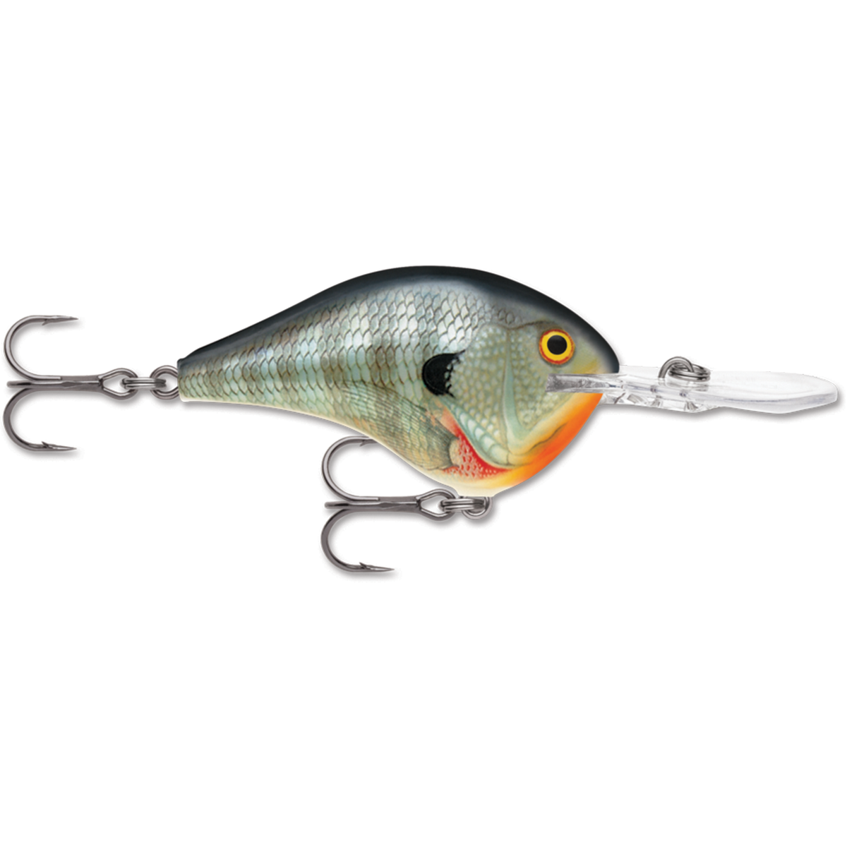 Rapala DT クランクベイト セット Rapala DT Series Crankbaits & Premium Balsa Lures