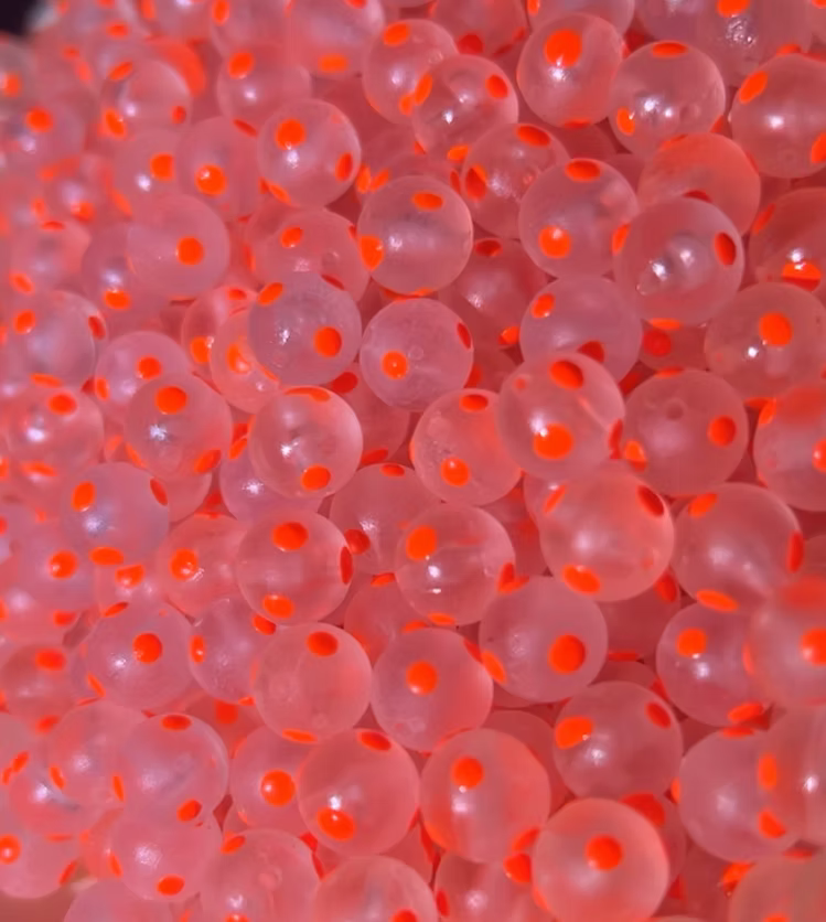Close-up of translucent spherical fishing tackle beads with bright orange centers, designed by Bloop Bead Co. for enhanced visibility in water environments.