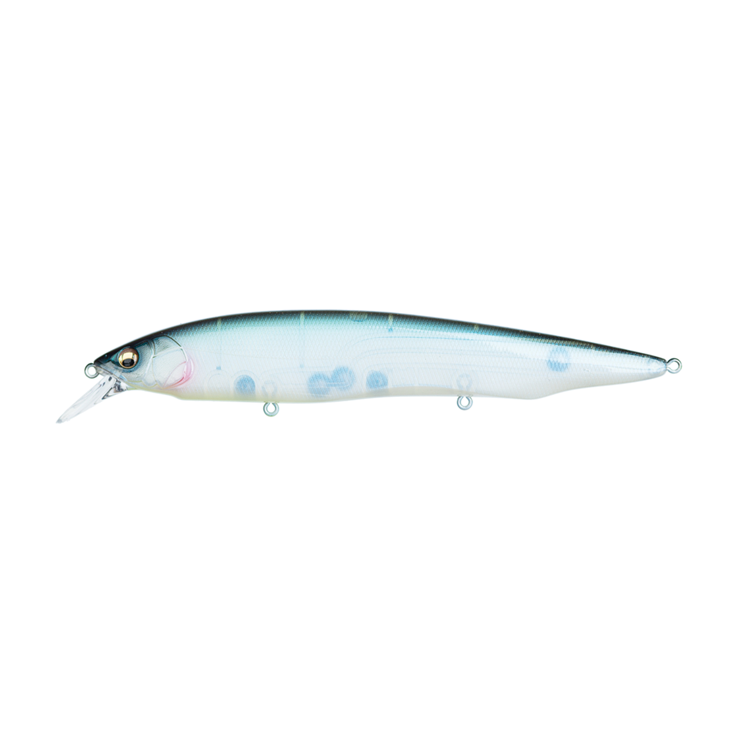 Megabass Kanata