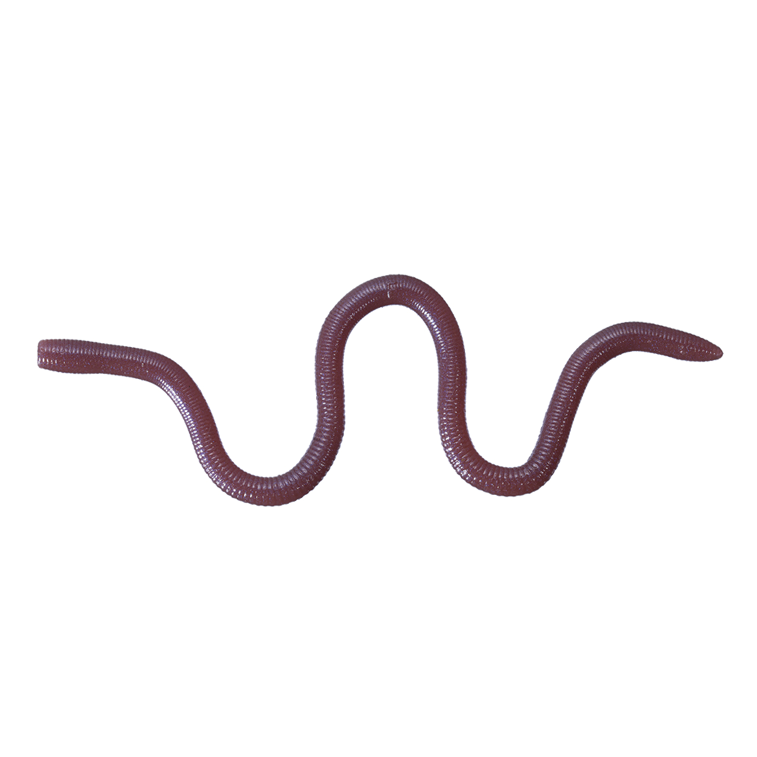 OSP DEKA MMZ Worm