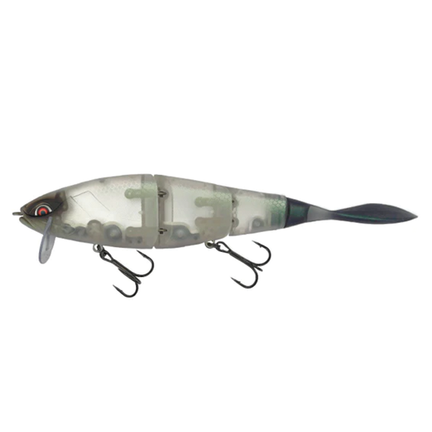 Galápagos Grace 210L