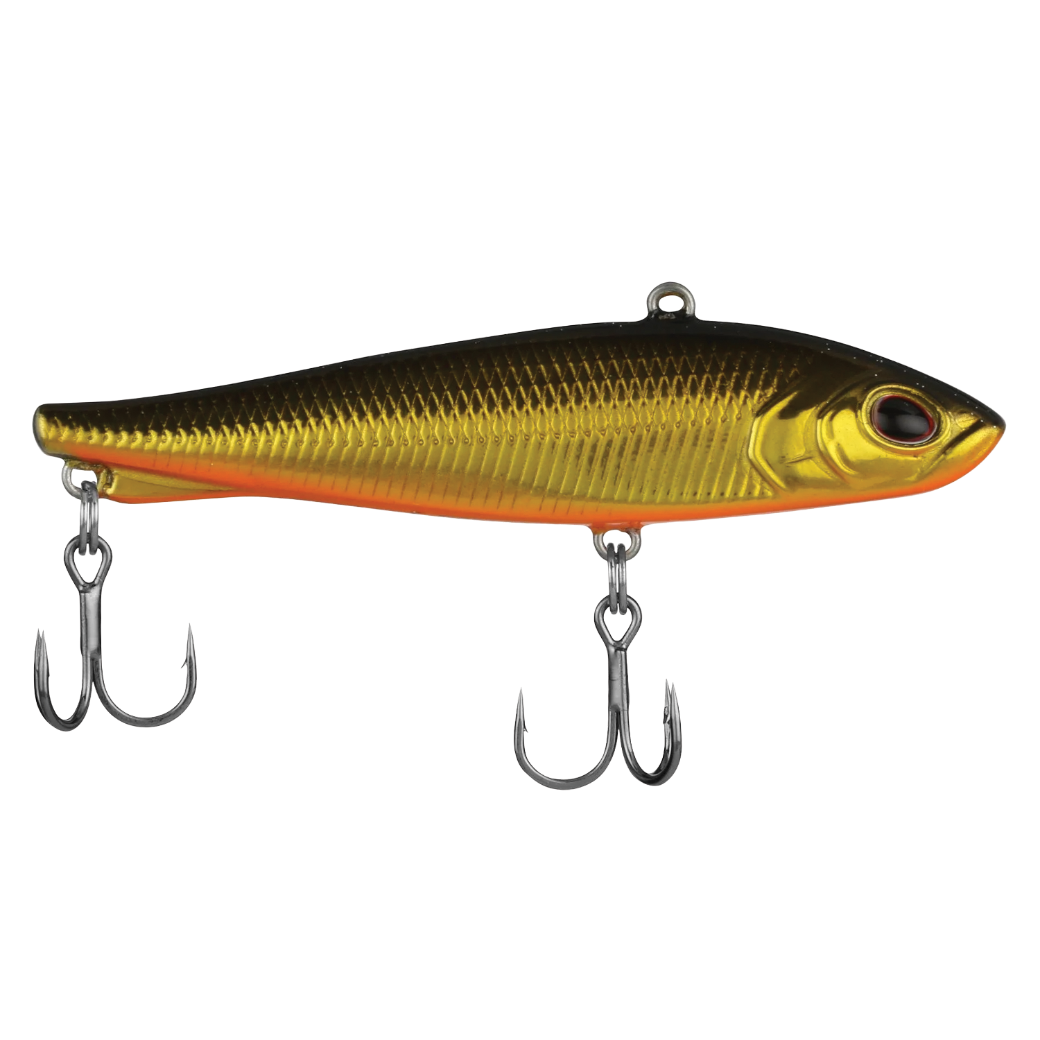 Berkley Ripfish