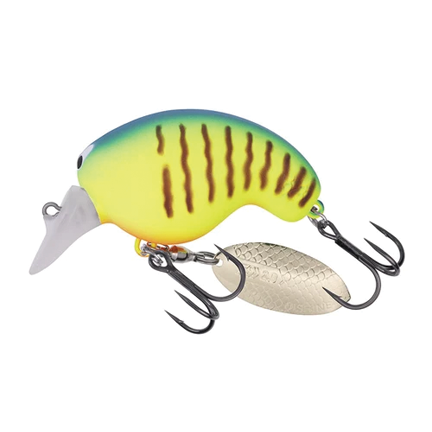 Daiwa Mr. Fortune