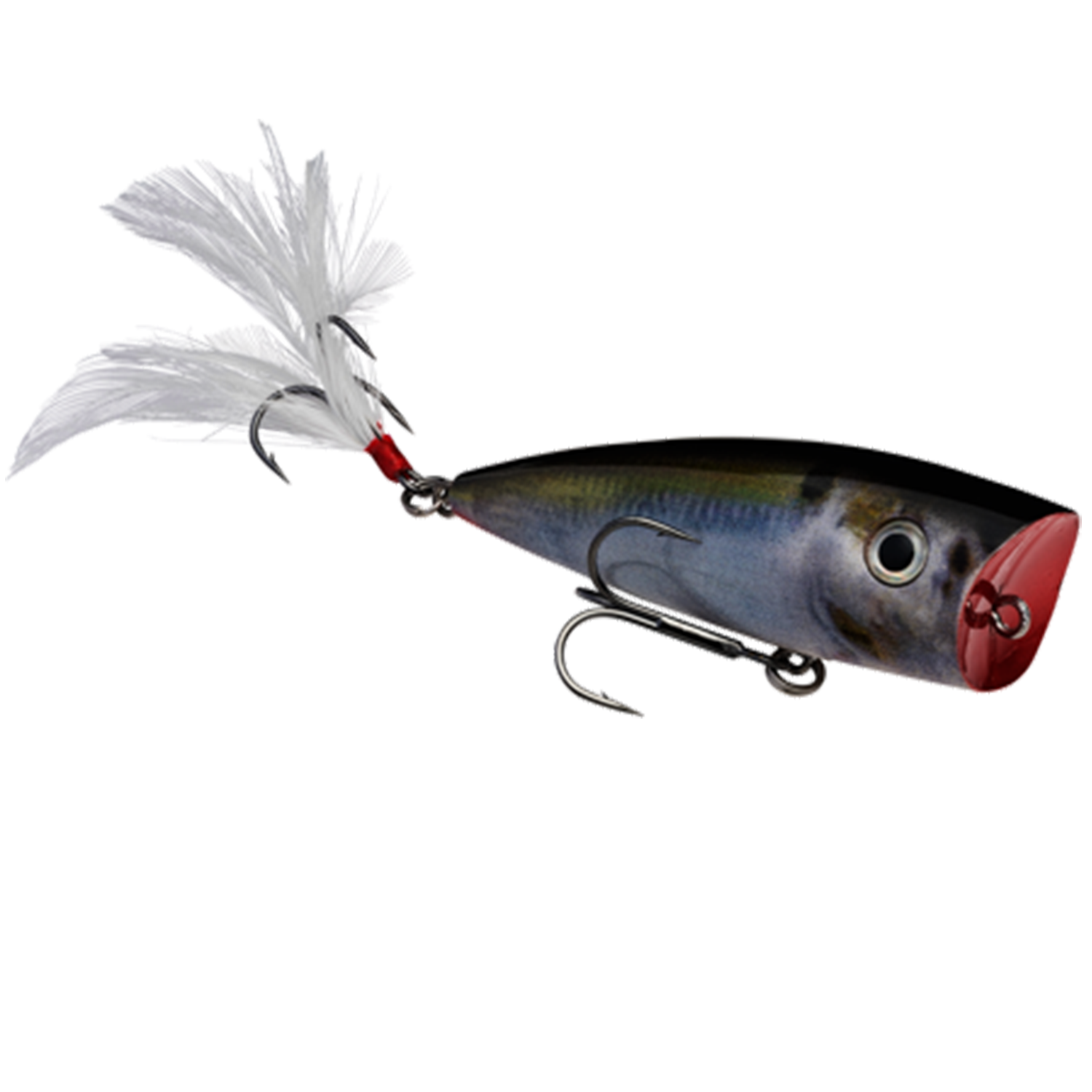 Strike King KVD Splash Popper