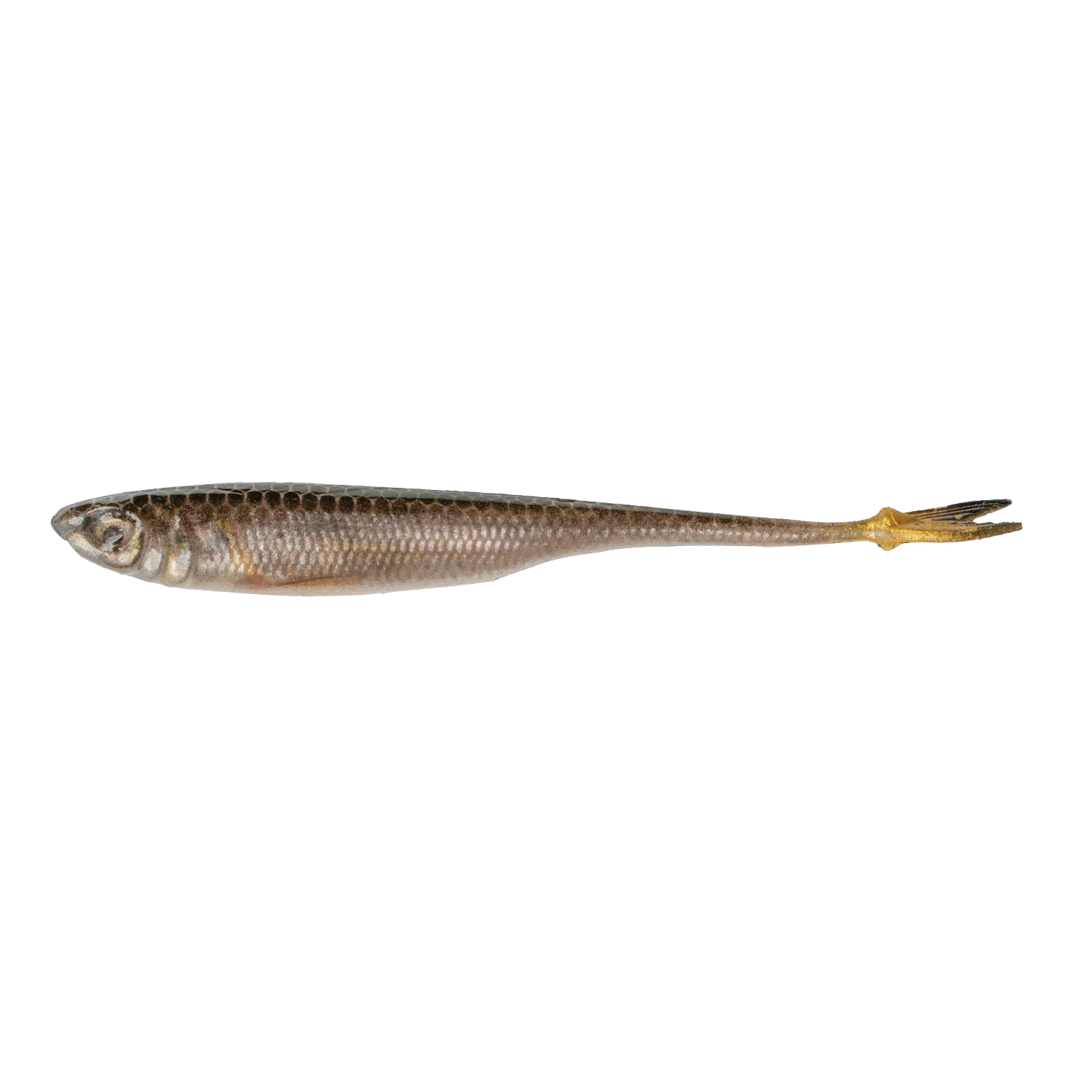 6th Sense Fishing Strobe Minnow